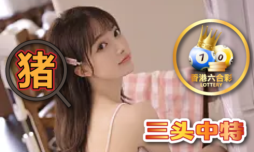 六六之家永久资料大全app网站 - 六六之家永久资料大全ap